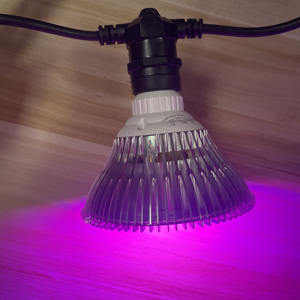 Guirlande lumineuse LED de 10M - Waterproof Led Strip avis et prix